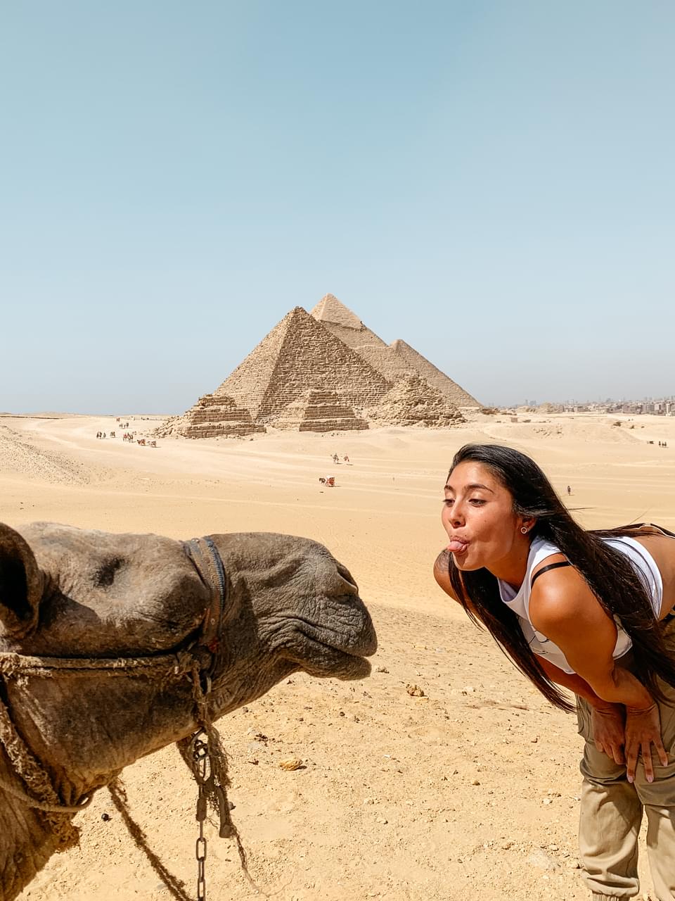 alt="digital nomad girl sticking tongue out at camel infront of the pyramids in Egypt"